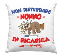 Federa per Cuscino Nonno Speciale, Idea Regalo di Compleanno Originale, Frase Divertente, Non disturbare Nonno in ricarica Divano Letto - senza Imbottitura (40_x_40_cm, Nonno)