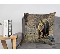 Federa per cuscino Orso bruno Terrorizzato Walking Zoo Forrest Animali Fauna selvatica Bellezza Pericolo In via di estinzione Viso Paura Accogliente Lino Quadrato Decorativo Fodere per cuscin