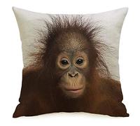Federa per cuscino Scimmia in primo piano Giovane orangutan del Borneo di fronte a animali che guardano una scimmia della fauna selvatica Taglio di un bambino asiatico Accogliente Federa decorativa