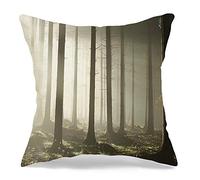 Federa per Cuscino Sunlight Morning Entering Autumn Coniferous Transportation On Fodere Cuscini Morbido Decorativi Federa, per Divano, Auto, Interni Ed Esterni, 45x45cm