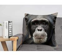 Federa per cuscino Verde Scimpanzé Scimpanzé Animali Fauna selvatica Scimmia Bonobo Occhi Africano In via di estinzione Carino Rilassante Mangiare Accogliente Lino Quadrato Decorativo Fodere per cus