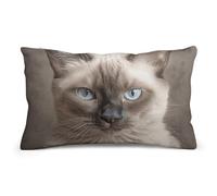Federa rettangolare da 8"x12" con bellissimo gatto siamese, doppia faccia, in peluche, stampata, per divano, camera da letto
