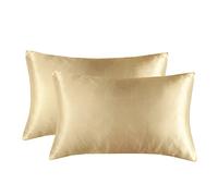 Federa Seta Cuscino, Federe Raso 2pcs Luxury Satin Federa Caso di cuscino satinato seta Silk-Like Silk-Like Silkcase per la casa Camera da letto confortevole(Champagne,51x66cm)