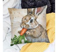 Federe Confezione Arredamento Casa Rabbit Carrot Beatrix Potter Set of 2 Morbida Fodere per Cuscini per
