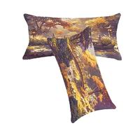 Federe Cuscini 30x50cm Colore Arancione Federa Cuscino Paesaggio Copricuscini Decorativi Velluto Cuscini per Divano Set di 2 Stampa Fronte-Retro Morbido e Confortevole per Decorazioni Mobili C0C344