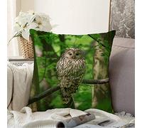 Federe Cuscini Black Eye Sitting Spring in Nature Owl with Bird Ural Birdwatching Strix Animals Her Tree Wildlife Copricuscini Colorate Cuscino Decorativo Lavabile Copricuscino per 45X45CM