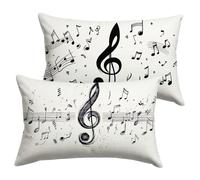 Federe Cuscini Divano 30x50cm Nero Bianco Copricuscini Divano Musica Cuscini per Velluto Impermeabile con La Cerniera Invisibile, Sedia Terrazza Camera da Letto Decorazioni Regalo, Set di 2 Y-P169