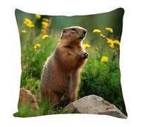 Federe Cuscini Divano 40 X 40 Il Topo Giallo Cuscini per Divano Quadrati Moderni Lino - Copricuscini Decorativi con Cerniera invisibile Lavabile per Salotto Cuscino Camera da Letto