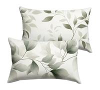 Federe Cuscini Divano 40x60cm Tinta Unita Copricuscini Divano Semplice Cuscini per Velluto Impermeabile con La Cerniera Invisibile, Sedia Terrazza Camera da Letto Decorazioni Regalo, Set di 2 Y-P879