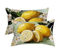 Federe Cuscini Divano 40x70, Fodere Cuscini da Esterno Impermeabile Set di 2, Limone Copricuscini Divano in Lino, Rettangolari Federa Cuscino Verde salvia, Fodera Cuscino per Regalo Donna, Decor -3553