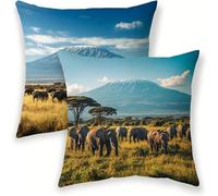 Federe Cuscini Divano 50x50 cm Copricuscini Decorativi Animale Fodere Impermeabili per Cuscini da Esterno Lino Set di 2, Elefante Cuscino Quadrato Federa per Letto Soggiorno Patio, Regali Donne lj-17