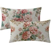 Federe Cuscini Divano 60x50 cm tinta unita Copricuscini Decorativi Europa settentrionale Rettangolari Federe Cuscini Set da 2 Morbido Velluto Copricuscini Divano per Soggiorno, Camera, Letto W1-792