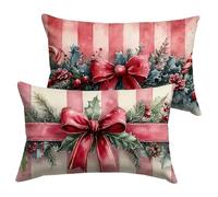 Federe Cuscini Divano 60x80cm Natale Copricuscini Divano Regalo Cuscini per Velluto Impermeabile con La Cerniera Invisibile, Sedia Terrazza Camera da Letto Decorazioni Regalo, Set di 2 Pezzi Y-P1053