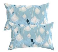 Federe Cuscini Divano in Velluto 30x50 cm Set di 2 Copricuscini Azzurro Decorativa Fodere Cuscini Arte Copricuscino Morbido Federe Cuscino per Divano Letto Decorazioni con Cerniera Invisibile -SC250