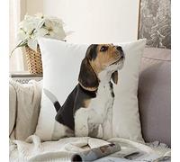Federe Cuscini Dog Beagle Puppy Howling On Looking Up Animals Wildlife Barking Lost Carnivore White Alone Canine Copricuscini Colorate Cuscino Decorativo Moderno Copricuscino per Camera 45X45CM