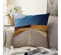 Federe Cuscini Green Road Pampas Landscapes Cordillera De Los Andes Nature Parks South Exotic High Hill Altitude Copricuscino Standard Copricuscini Colorate Cuscino Decorativo per Camera 45X45CM