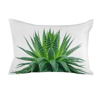 Federe Cuscini Modern Farmhouse Green Barbed Aloe Vera Plant Federa Decorativi Copricuscino Moderno Copricuscini per Camera Ufficio Soggiorno 40X60CM