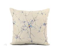 Federe Cuscini Nerve Neurons in The Brain On Effect 3D Copricuscini Colorate Cuscino Decorativo Standard Federa per Soggiorno Divano Ufficio 45X45CM