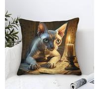 Federe Cuscini Sphynx Cat Moderni Pittura,Mystery Art Square Federe Cuscini Divano Cotone Fodera Per Cuscino Per Divano Camera Da Letto Soggiorno 40x40cm