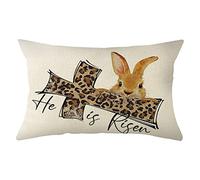 Federe Cuscino He Is Risen Bunny Happy Easter Fodere Copricuscino Traspirante Copricuscini Arredo Casa Federe Cuscini per Regalo Soggiorno Campeggio Sull'Erba M