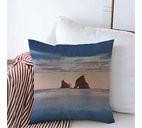 Federe Cuscino Islands Nelson Best Sand Dunes Wharariki Beach Sunny Nature Exposure District Miscellaneous Copricuscini Bifacciale Federa per Letto 45X45 CM