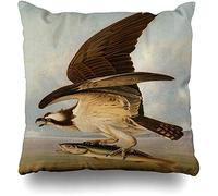 Federe Cuscino Oil Osprey Weakfish By John James Sea Audubon Paint Bird Eagle Canvas Copri Cuscini Decorazione Protettore per Cuscino per Letto 45X45 CM
