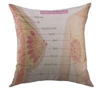 Federe Cuscino Section of Female Breast Mammary Boob Body Organs Physical Sickness Health Cuscino Copricuscini Moderna Federe Cuscini per Casa 45X45 Cm