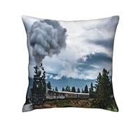 Federe Cuscino Train On The Track Natural Scenery White Clouds Clear Art Print Copri Cuscini Bifacciale Cuscino Copricuscini Lavabile Copricuscini per Giardino Sedia Ufficio 45X45 CM