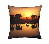 Federe Cuscino Wild Elephants Walking Near The River Sunset Background Animal Art Print Federa Moderna Copricuscini Bifacciale Federe Cuscini per Sedia Casa Ufficio 45X45 CM