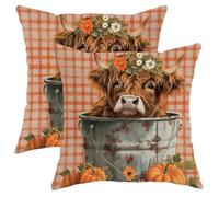 Federe De Cuscini Fun Fall Highland Cow Autumn Bucket Cattle Set of 2 Poliestere Federe Decorative per