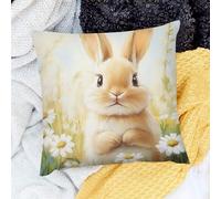 Federe Decorative Rabbit Daisies Beatrix Potter Set of 2 Quadrate Federe Cuscini Divano per