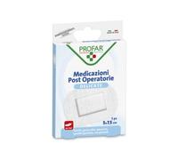 Federfarma.co Cerotto Acido Ialuronico Profar 5x7,5cm, 6 pezzi