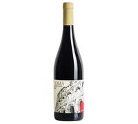 Federici Roma Rosso DOC 2022 0,75 ℓ