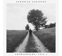Federico Albanese Before and Now Seems Infinite (Vinyl LP) 12" Album