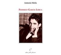 Libri Antonio Melis - Federico Garcia Lorca