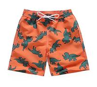 FedMois Pantaloncini da Spiaggia Bambino Ragazzo Costume da Bagno Asciugatura Rapida, Dinosauri, 3-4 Anni