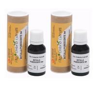 Fee Betulla Pubescente 15 Ml 2x15 ml Soluzione orale
