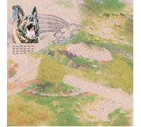 feeble little horse Girl with Fish (Cassette)
