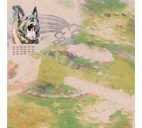 Feeble Little Horse Girl With Fish (CD) Album