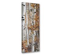 Feeby Quadro Tela Non Tessuta Boschi Di Betulla 40x120 cm Foto Stampa Moderna Pronta Per Essere Appesa Natura Autunnale beige
