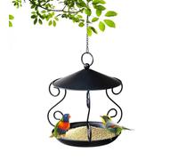 Feeding Station, Aviary Food Dispenser, Hanging Wildlife Accessory, Protective Iron Mesh, Decorative Hanging Bin for Balcony, Outdoor Deck Architettura, Heavy Bronze Finished Hardware