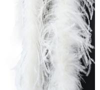 Feegow Boa Decorativo 2M per Abiti da Sera e Gala | Materiale struzzo, finitura lucida naturale, leggero sulla , nel tempo