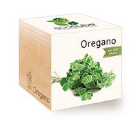Feel Green - Eco cubo Ecocube origano, Semi biologici, Idea Regalo sostenibile, 100% Ecologico, Kit per Crescere piantine in Un Dado in Legno, Prodotto in Austria