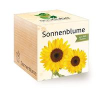 Feel Green Ecocube Girasole Certificato Biologico, Idea Regalo sostenibile (100% Eco Friendly), Set di Coltivazione, Piante in cubo di Legno, Made in Austria