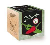 Feel Green - Ecocube, Idea Regalo (100% Ecologica), Kit per Far Crescere la Propria pianta, Piante in cubi di Legno da7,5 cm, Prodotto in Austria