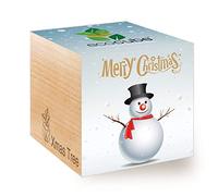 Feel Green Ecocube Pupazzo di Neve/Albero di Natale, Idea Regalo sostenibile (100% Eco Friendly), Grow Your Own/Set di Coltivazione, Piante nel Dado di Legno, Made in Austria