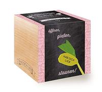 Feel Green Message Cube - Cubo in legno con incisione laser "Hab Dich Lieb", idea regalo sostenibile, 100% Eco Friendly, set di coltivazione, made in Austria