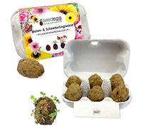 Feel Green Seedegg Bio - 6 sfere composte di semi di piante gradite ad api e farfalle, realizzate a mano, grandi come uova di quaglia, un’idea regalo sostenibile (100% eco-friendly), prodotte in Austria