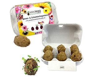 Feel Green Seedegg Bio - 6 sfere composte di semi di piante gradite ad api e farfalle, realizzate a mano, grandi come uova di quaglia, un’idea regalo sostenibile (100% eco-friendly), prodotte in Austria