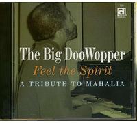 Feel The Spirit - Big Doowopper (Audio cd)